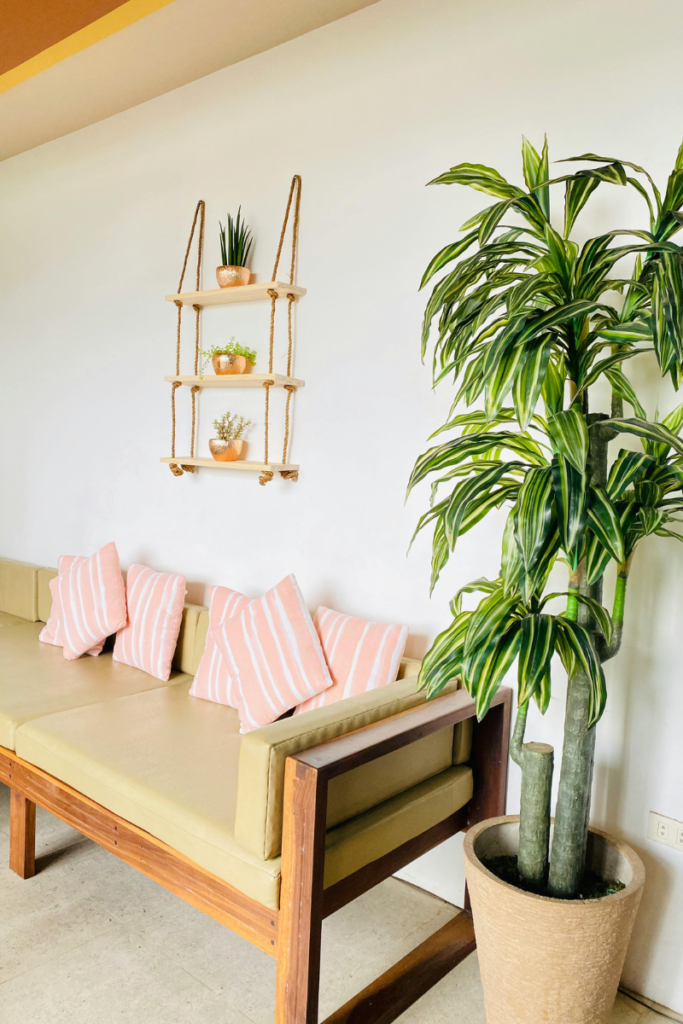 Minimalist wooden hanging shelves styled with trailing money plants and small decor items.